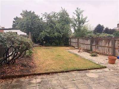 Picture 15